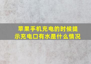 苹果手机充电的时候提示充电口有水是什么情况