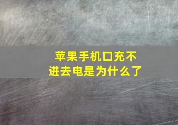 苹果手机口充不进去电是为什么了