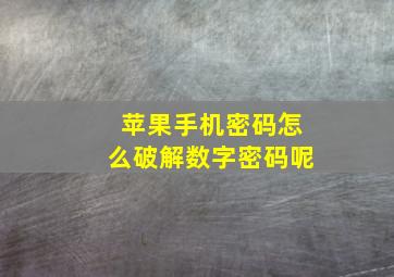 苹果手机密码怎么破解数字密码呢