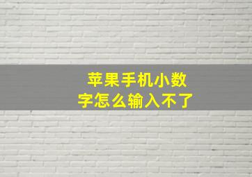 苹果手机小数字怎么输入不了