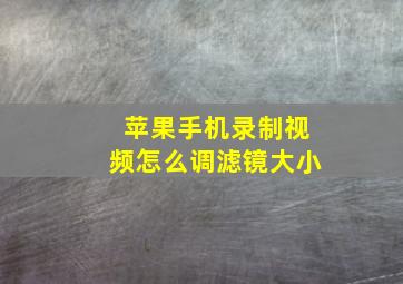 苹果手机录制视频怎么调滤镜大小