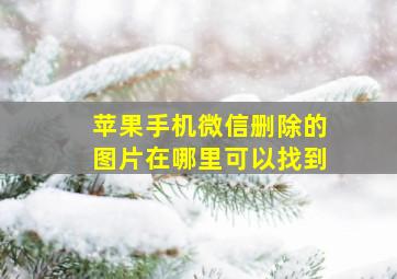 苹果手机微信删除的图片在哪里可以找到