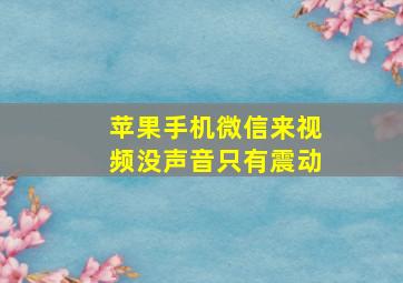 苹果手机微信来视频没声音只有震动