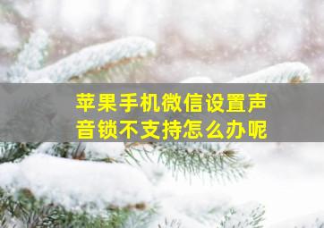 苹果手机微信设置声音锁不支持怎么办呢