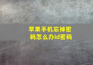 苹果手机忘掉密码怎么办id密码