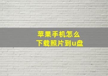 苹果手机怎么下载照片到u盘