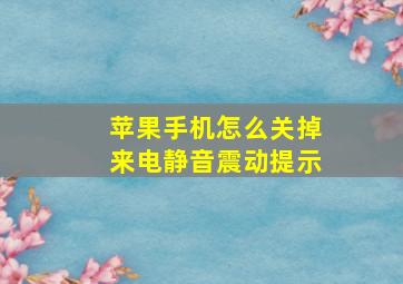 苹果手机怎么关掉来电静音震动提示