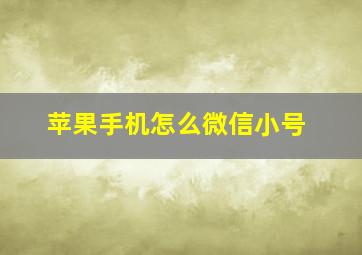 苹果手机怎么微信小号