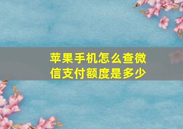 苹果手机怎么查微信支付额度是多少