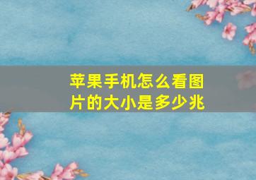 苹果手机怎么看图片的大小是多少兆