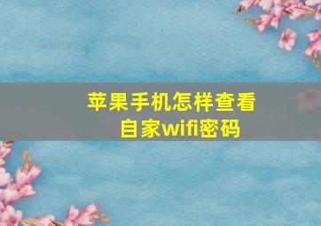 苹果手机怎样查看自家wifi密码