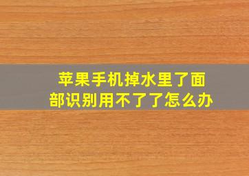 苹果手机掉水里了面部识别用不了了怎么办