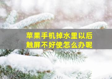 苹果手机掉水里以后触屏不好使怎么办呢