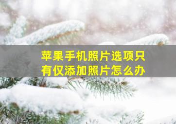 苹果手机照片选项只有仅添加照片怎么办