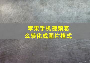 苹果手机视频怎么转化成图片格式