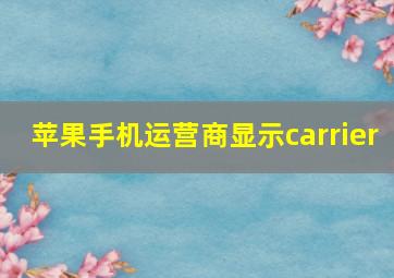 苹果手机运营商显示carrier