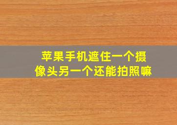 苹果手机遮住一个摄像头另一个还能拍照嘛