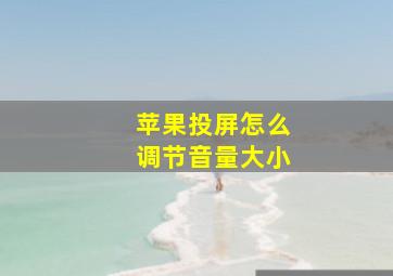 苹果投屏怎么调节音量大小