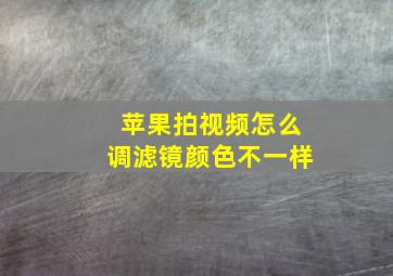 苹果拍视频怎么调滤镜颜色不一样