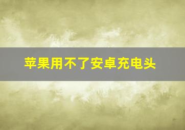 苹果用不了安卓充电头