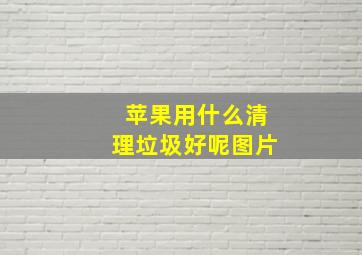 苹果用什么清理垃圾好呢图片