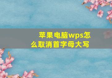 苹果电脑wps怎么取消首字母大写