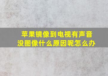 苹果镜像到电视有声音没图像什么原因呢怎么办