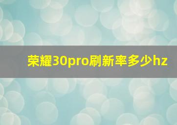 荣耀30pro刷新率多少hz