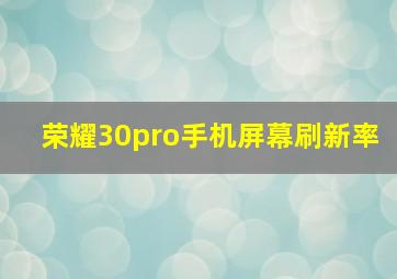 荣耀30pro手机屏幕刷新率