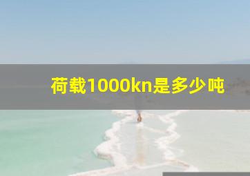 荷载1000kn是多少吨