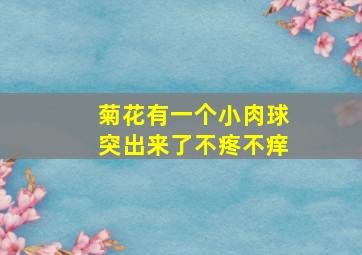 菊花有一个小肉球突出来了不疼不痒