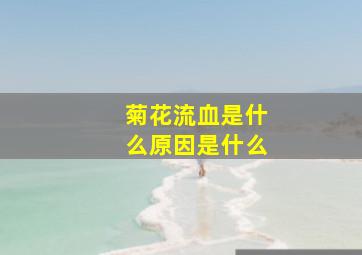 菊花流血是什么原因是什么