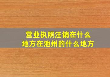 营业执照注销在什么地方在池州的什么地方