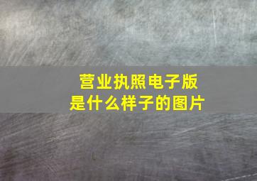 营业执照电子版是什么样子的图片