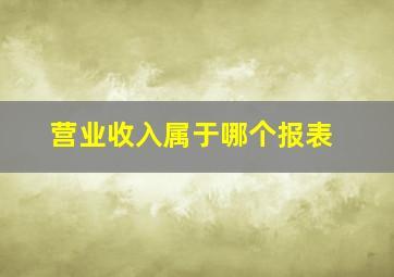 营业收入属于哪个报表