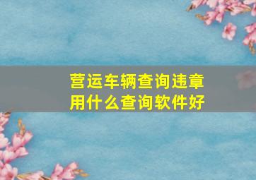 营运车辆查询违章用什么查询软件好