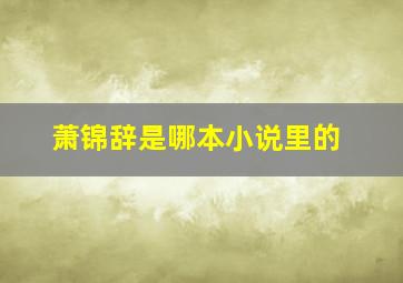 萧锦辞是哪本小说里的