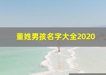 董姓男孩名字大全2020