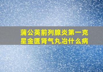 蒲公英前列腺炎第一克星金匮肾气丸冶什么病