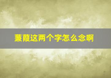 蒹葭这两个字怎么念啊