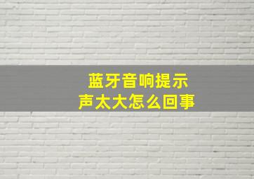 蓝牙音响提示声太大怎么回事