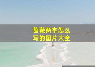 蔷薇两字怎么写的图片大全