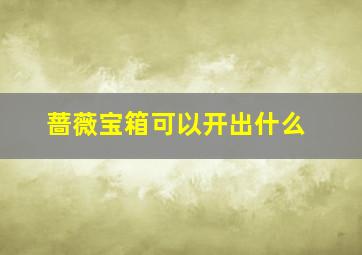 蔷薇宝箱可以开出什么