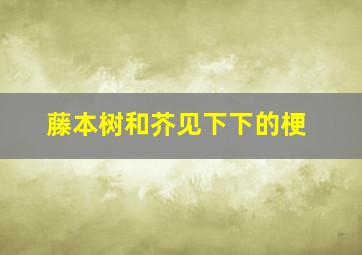 藤本树和芥见下下的梗