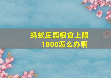 蚂蚁庄园粮食上限1800怎么办啊