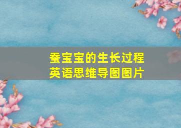 蚕宝宝的生长过程英语思维导图图片