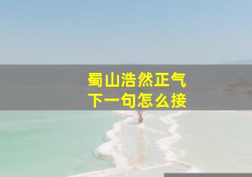 蜀山浩然正气下一句怎么接