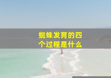 蜘蛛发育的四个过程是什么