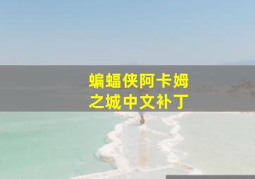 蝙蝠侠阿卡姆之城中文补丁