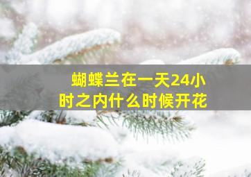 蝴蝶兰在一天24小时之内什么时候开花